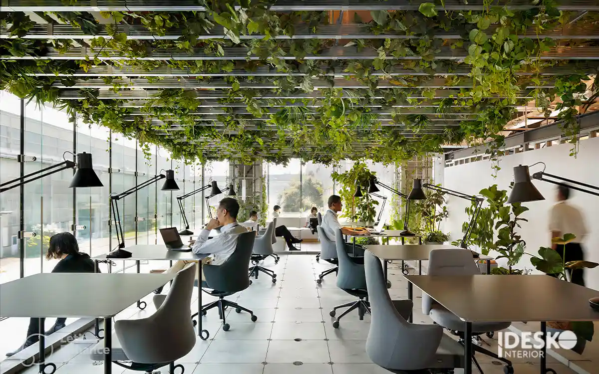 Mẫu thiết kế văn phòng xanh kết hợp cây treo và ánh sáng tự nhiên, mang lại không gian làm việc dễ chịu