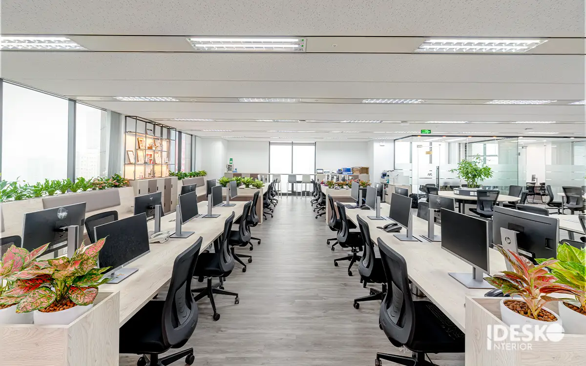 Thiết kế ánh sáng tạo không gian làm việc thông thoáng và sáng sủa
