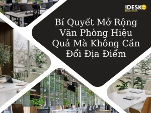 Bí quyết mở rộng văn phòng hiệu quả mà không cần đổi địa điểm