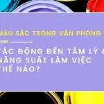 Tác động của màu sắc trong văn phòng đến tâm lý và năng suất làm việc
