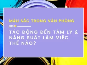 Tác động của màu sắc trong văn phòng đến tâm lý và năng suất làm việc