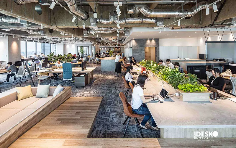 Thiết kế Biophilic kiến tạo môi trường làm việc thân thiện