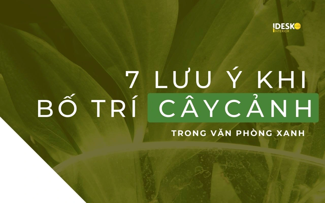 Lưu ý khi bố trí cây cảnh trong văn phòng
