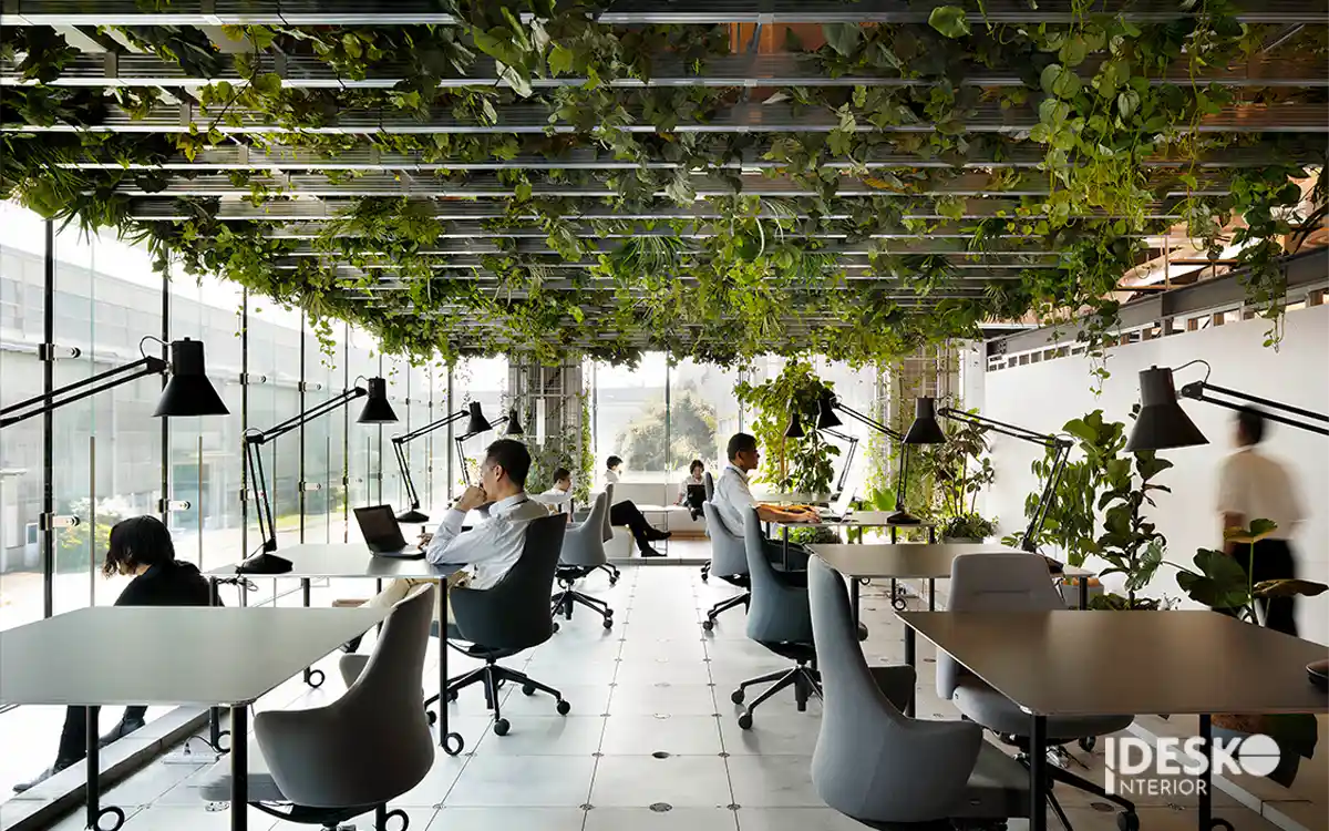 Biophilic design chú trọng đến trải nghiệm toàn diện của con người