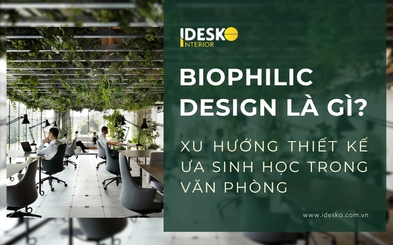 Thiết kế ưa sinh học (biophilic design) là gì?