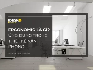 Ergonomic là gì? Ứng dụng ergomomic trong thiết kế văn phòng