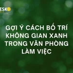 Gợi ý cách bố trí không gian xanh trong văn phòng làm việc