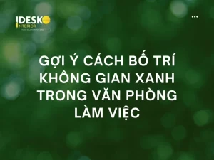Gợi ý cách bố trí không gian xanh trong văn phòng làm việc