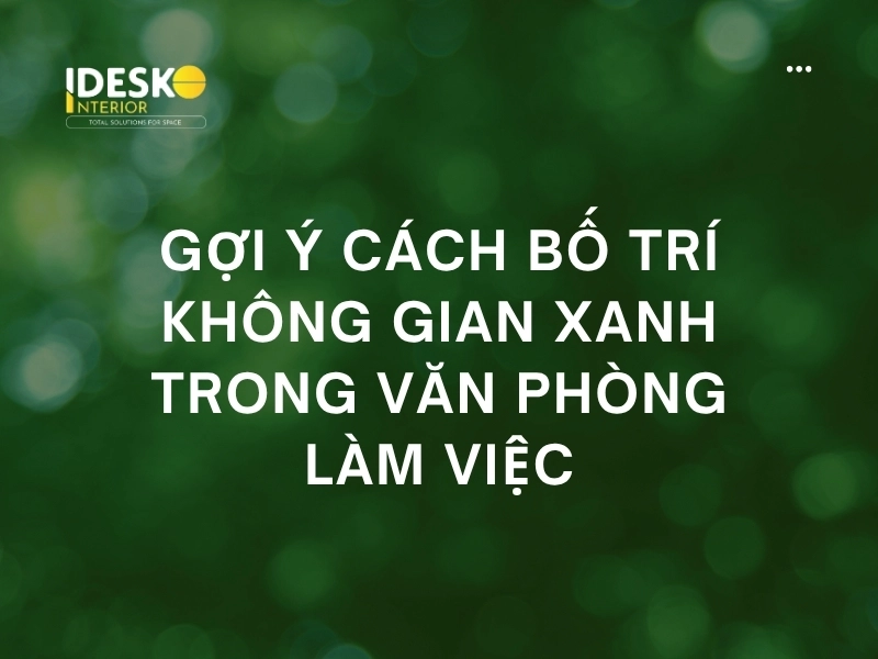 Gợi ý cách bố trí không gian xanh trong văn phòng làm việc