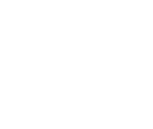 Logo khách hàng Storz