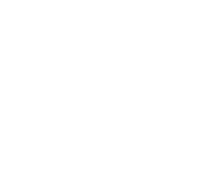 Logo khách hàng Wisewires
