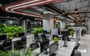 Lợi ích của thiết kế văn phòng xanh đối với doanh nghiệp và nhân viên