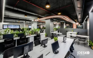 Mẫu thiết kế văn phòng xanh không gian mở 3