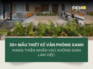 30+ mẫu thiết kế văn phòng xanh Mang thiên nhiên vào không gian làm việc