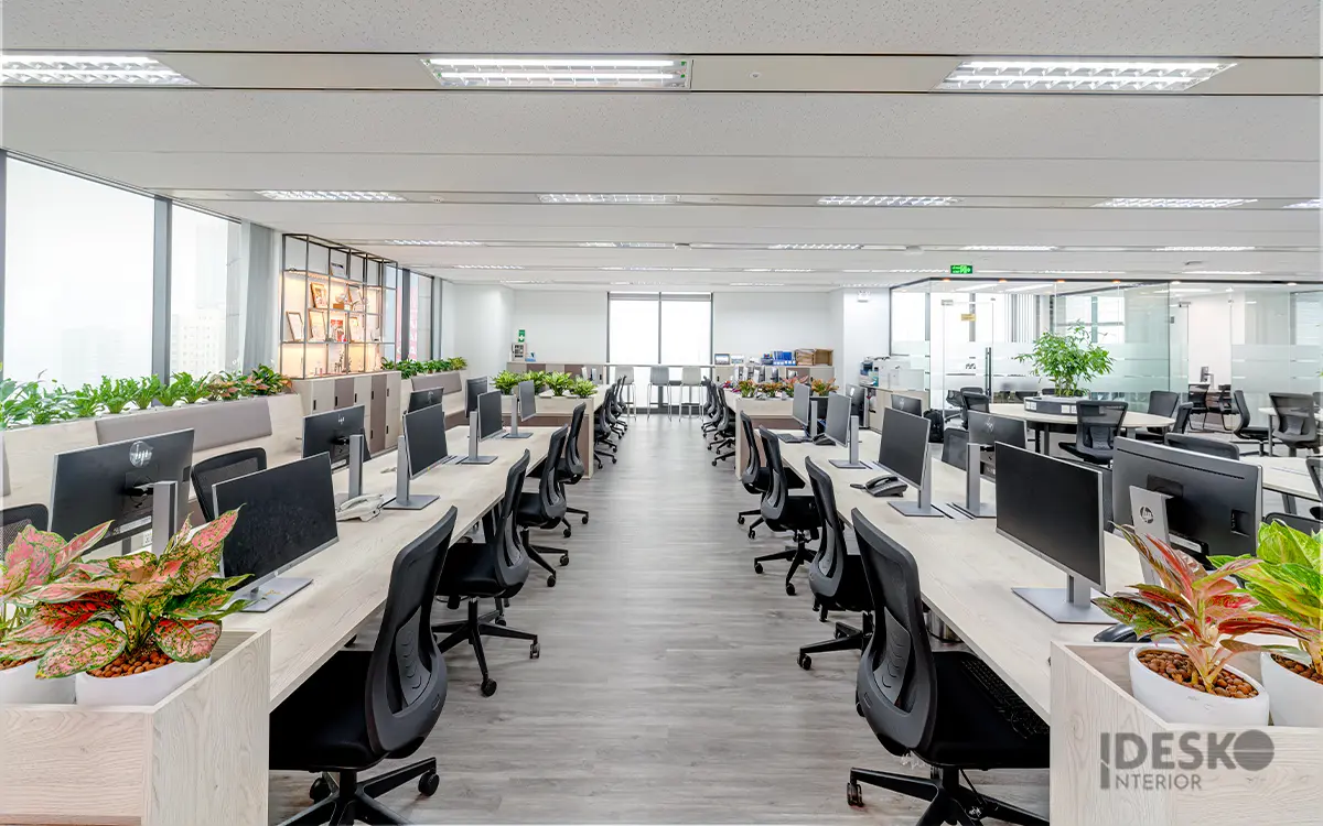 Thiết kế văn phòng mở ít vách ngăn