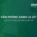 Văn phòng xanh - Lợi ích và tiêu chuẩn thiết kế văn phòng xanh