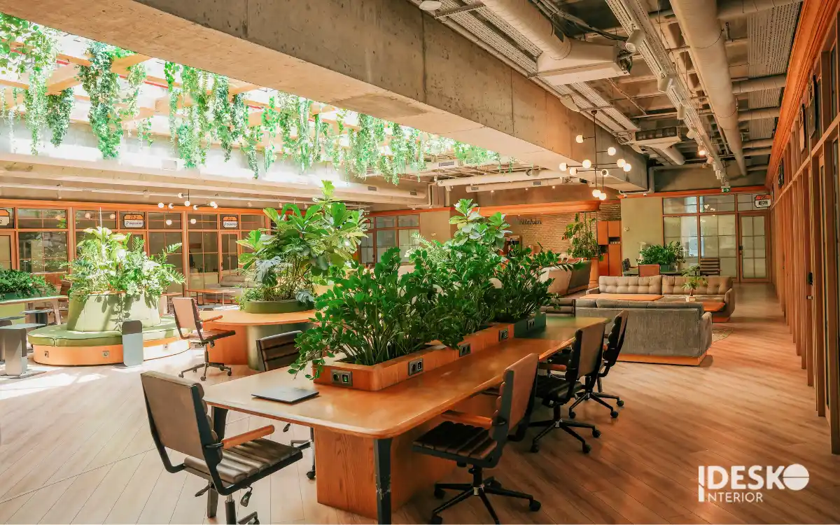 Thiết kế văn phòng biophilic sử dụng giếng trời và cây xanh