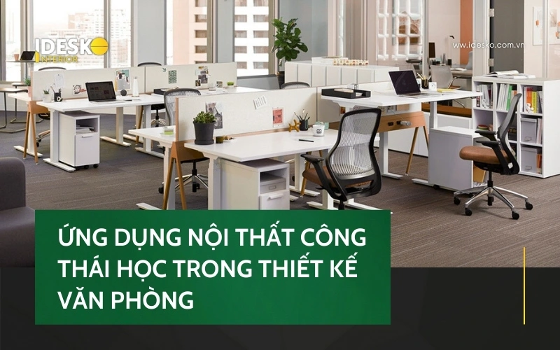 Nội thất công thái học trong thiết kế văn phòng