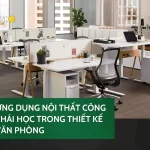 Ứng dụng nội thất công thái học trong thiết kế văn phòng