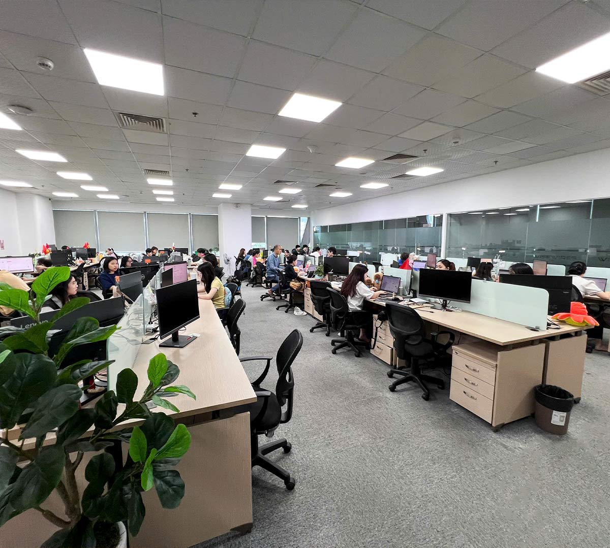 Quy trình hoàn trả mặt bằng - Khảo sát hiện trạng