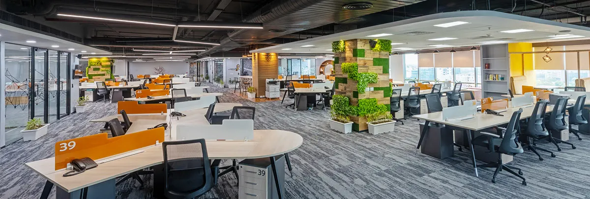 Văn phòng mở_Trang thiết kế văn phòng_2