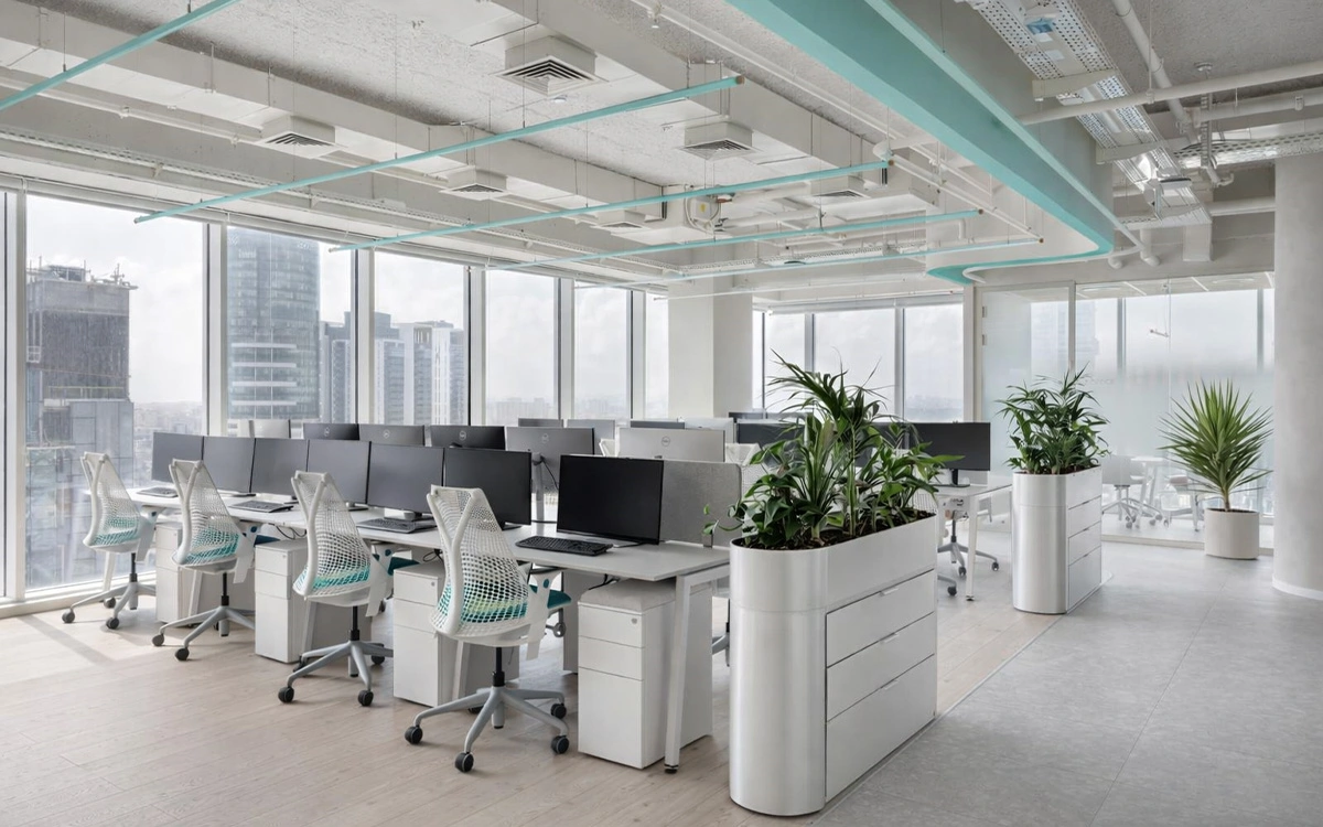 Mẫu thiết kế văn phòng startup với không gian mở, nhiều cây xanh và ánh sáng tự nhiên ngập tràn