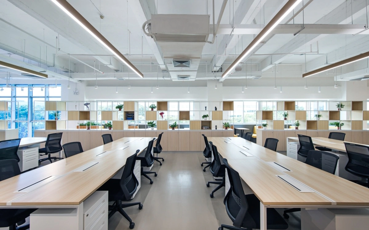 Tận dụng ánh sáng tự nhiên và yếu tố xanh khi thiết kế văn phòng startup