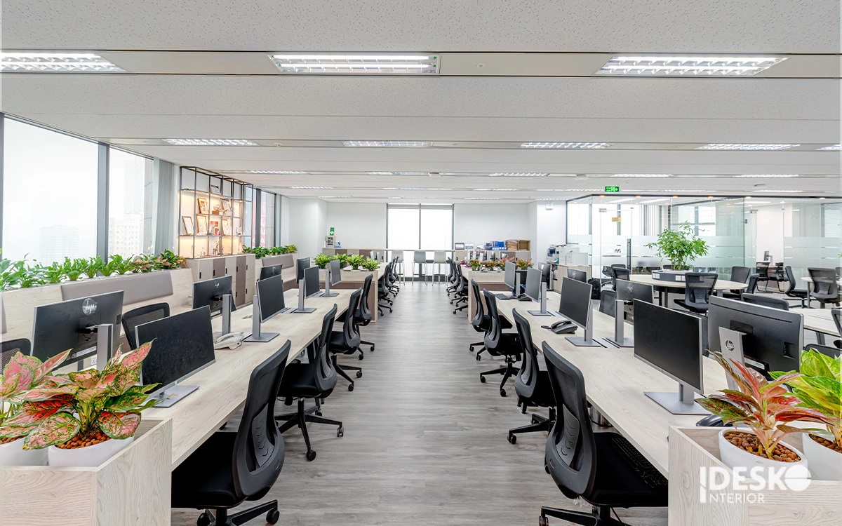 Không gian làm việc 500m2 - 1000m2 với dãy bàn dài, ánh sáng tự nhiên và mảng xanh bố trí dọc theo lối ngồi