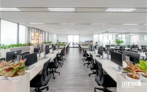 Văn phòng hiện đại sử dụng ánh sáng tự nhiên giúp không gian rộng rãi và dễ chịu